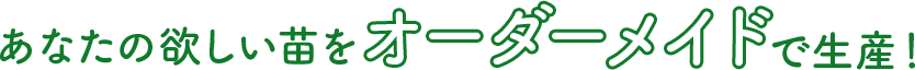 あなたの欲しい苗をオーダーメイドで生産