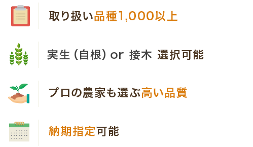 取り扱い品種1,000以上/実生(自根)or 接木 選択可能/プロの農家も選ぶ高い品質/納期指定可能