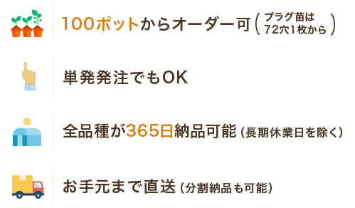 100ポットからオーダー可/単発発注でもOK/全品種が365日納品可能(長期休業日を除く)/お手元まで直送(分割納品も可能)